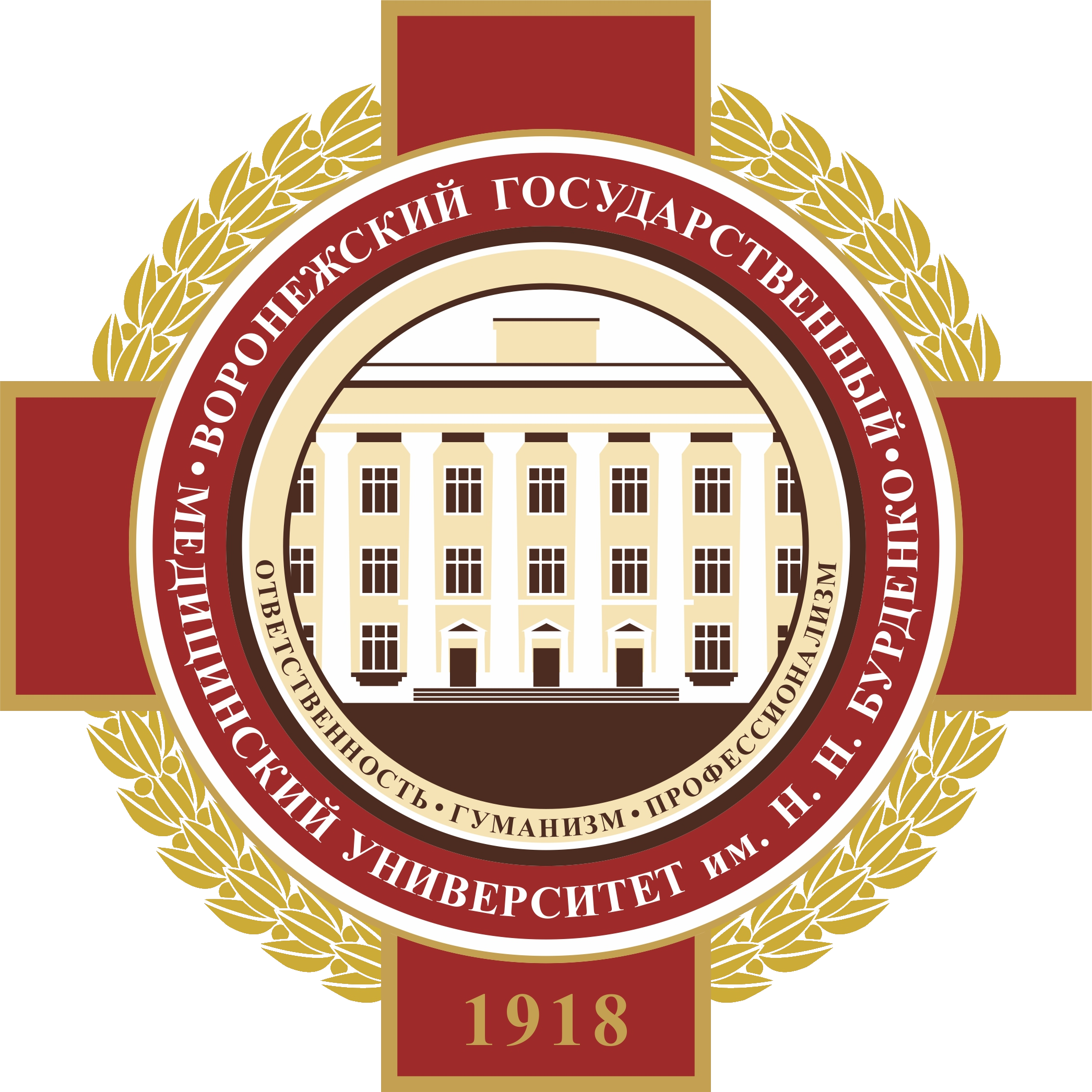 Воронежский государственный медицинский университет имени Н.Н. Бурденко лого